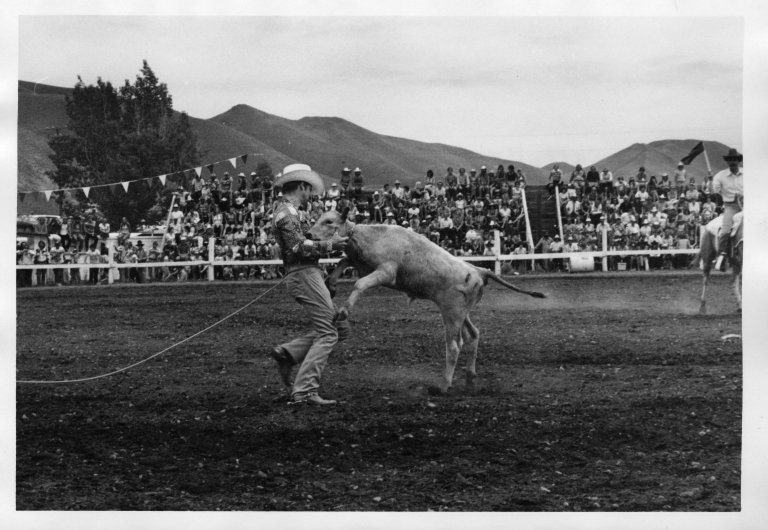 [Cowboy lassoing a calf., Wood River Journal photo morgue.]
